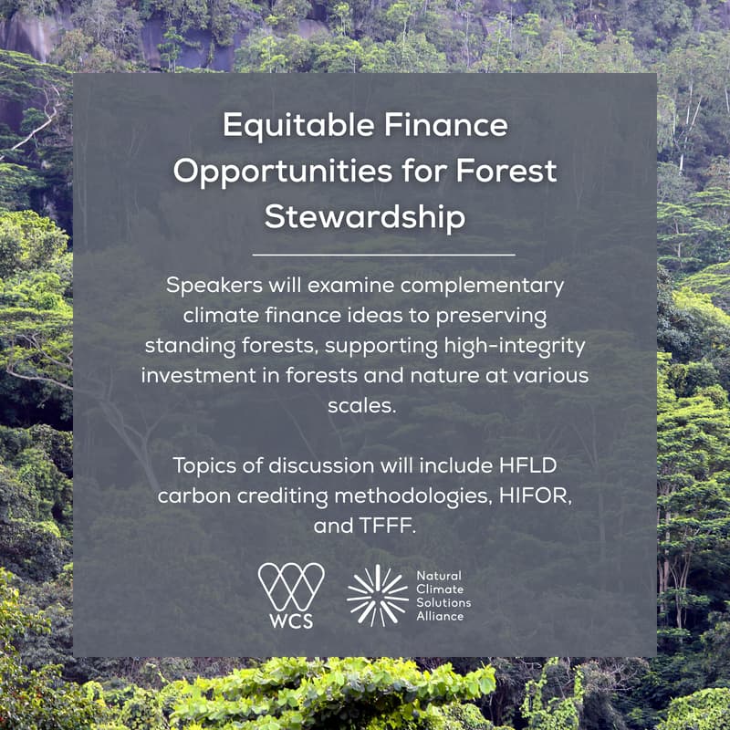 Cover Image for Equitable Finance Opportunities for Forest Stewardship