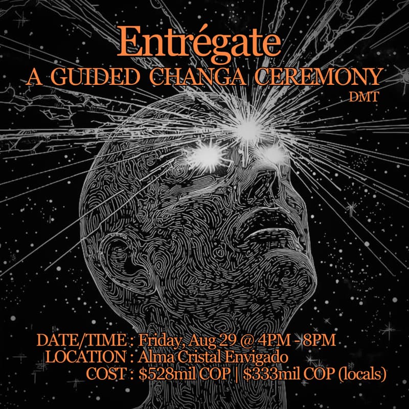 Foto de portada de 🌿 Entrégate: A Guided Changa (DMT) Ceremony
