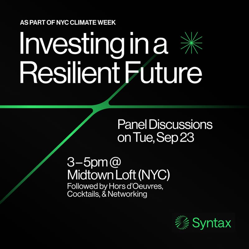 Cover Image for Investing in a Resilient Future by Syntax Data
