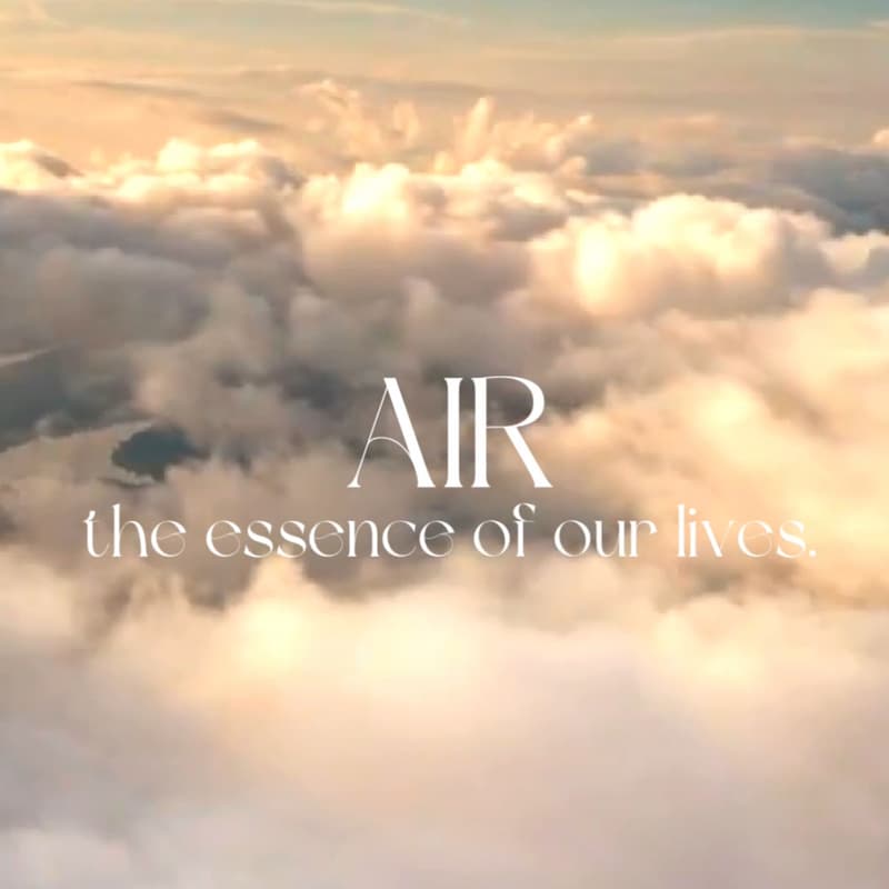 Cover Image for Air - The Essence of Our Lives