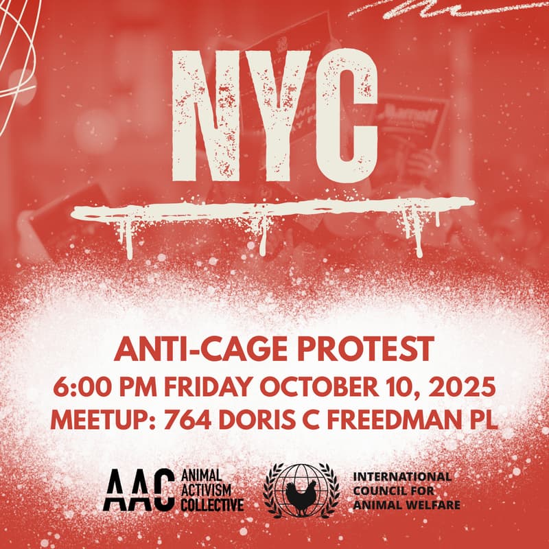 Cover Image for NYC: ANTI-CAGE PROTEST