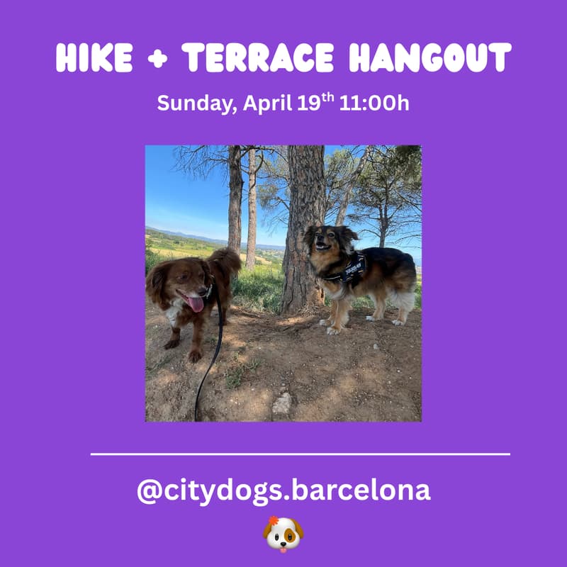 Cover Image for Hike + Terrace Hangout