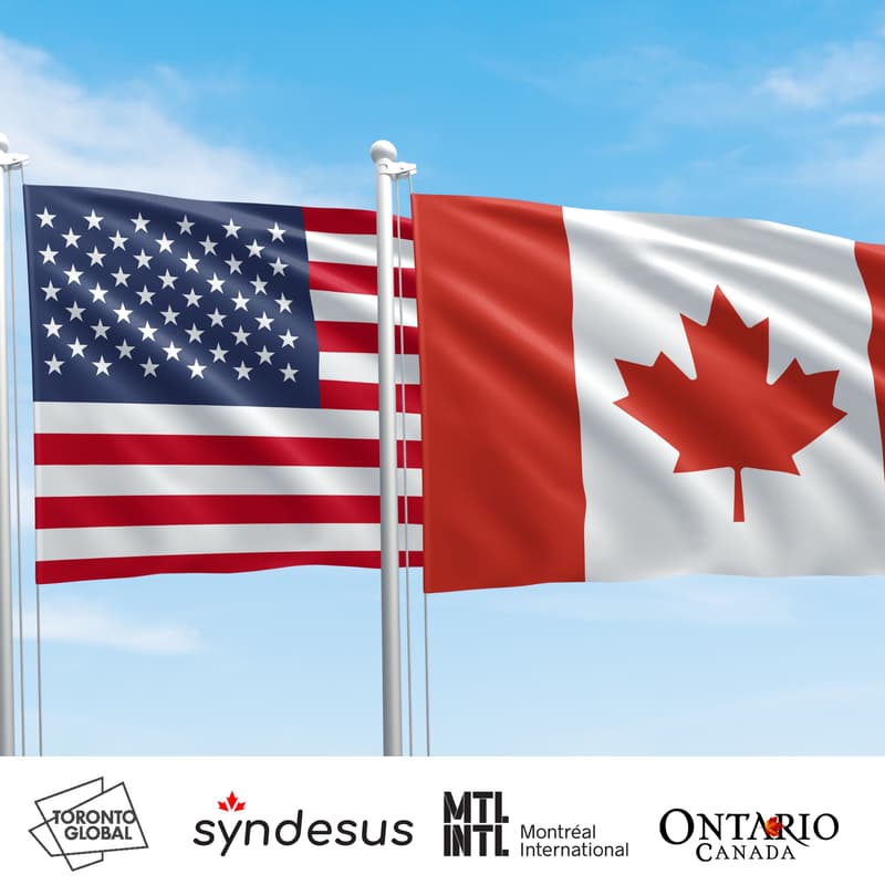 Cover Image for Building World-Class AI Teams: Canada is How You Win