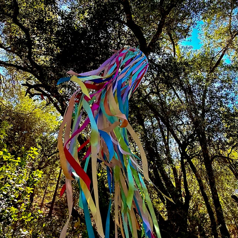 Cover Image for Returning to Sacred Queerness: Two-Spirit Paths of Devotion that Move us from Pain to Purpose