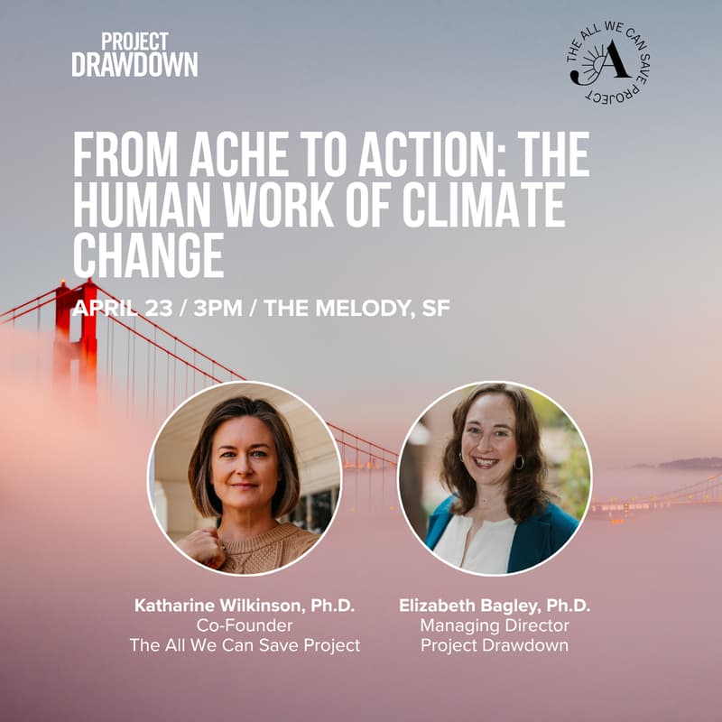 Cover Image for From Ache to Action: The Human Work of Climate Change