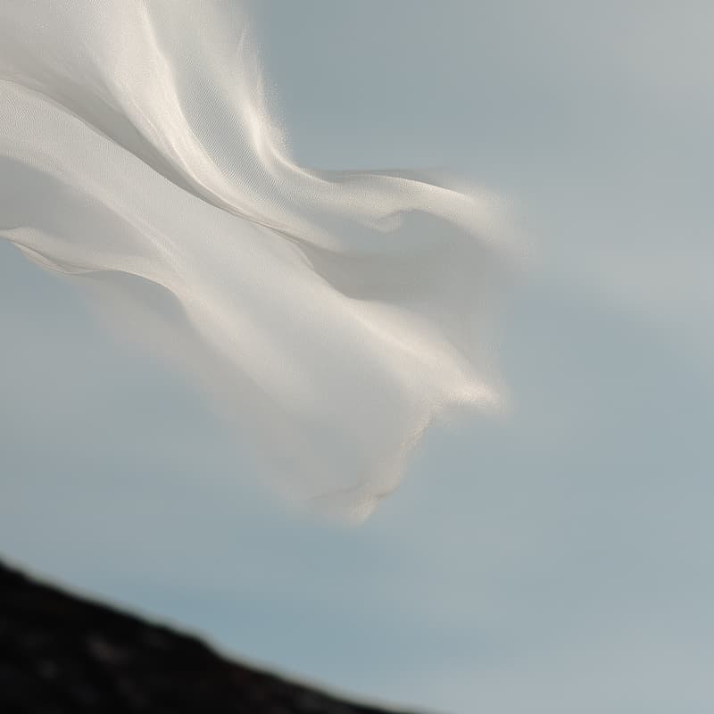 Cover Image for Coffee & Connections 005