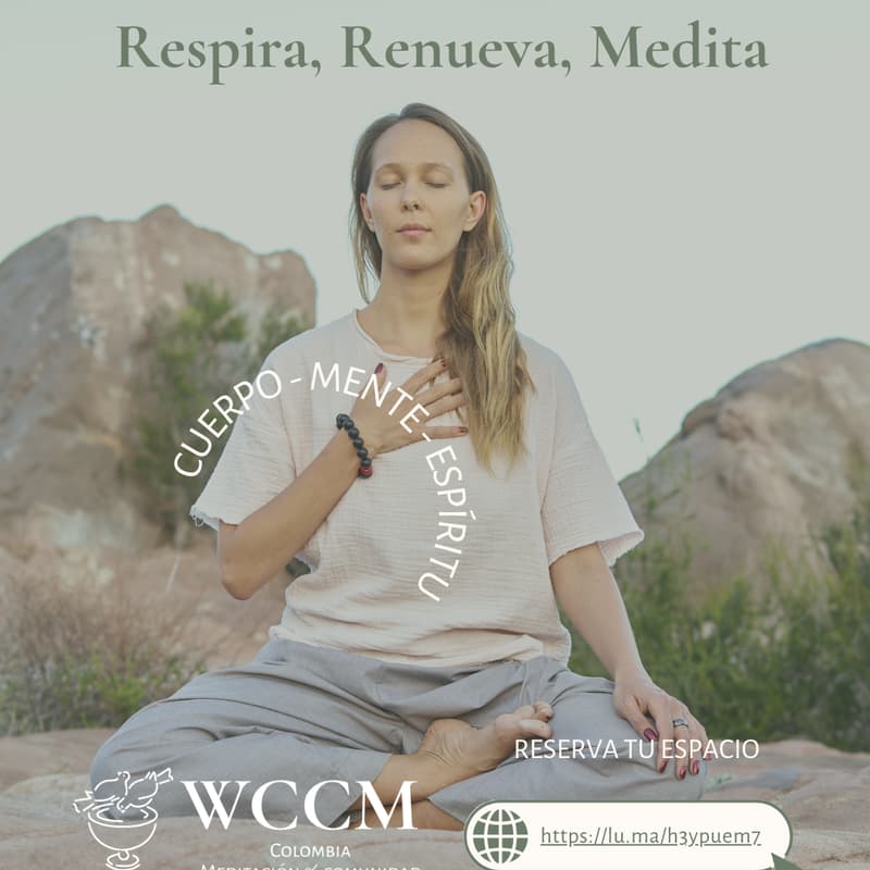 Cover Image for Respira, Renueva, Medita