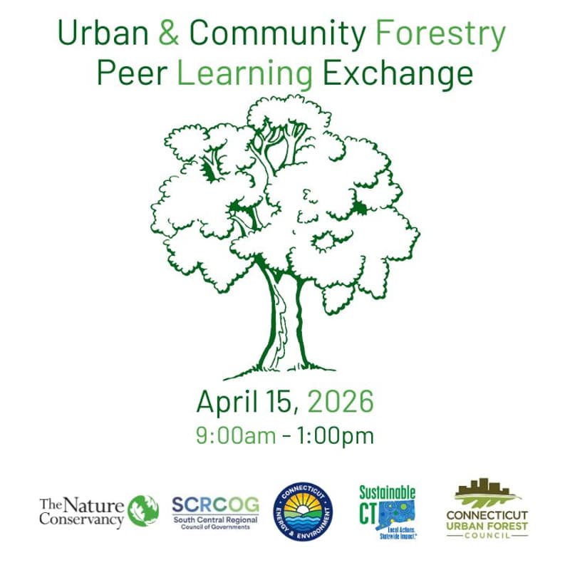 Cover Image for SCRCOG Region: Urban and Community Forestry Peer Learning Exchange
