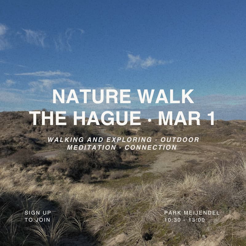 Cover Image for Nature Walk The Hague