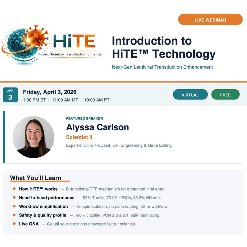 Cover Image for HiTE webinar