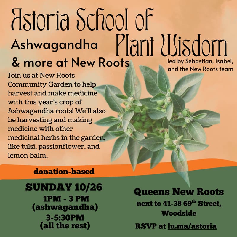 Cover Image for Ashwagandha and more at New Roots!
