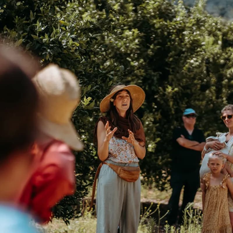 Cover Image for Regenerative Farm Tour