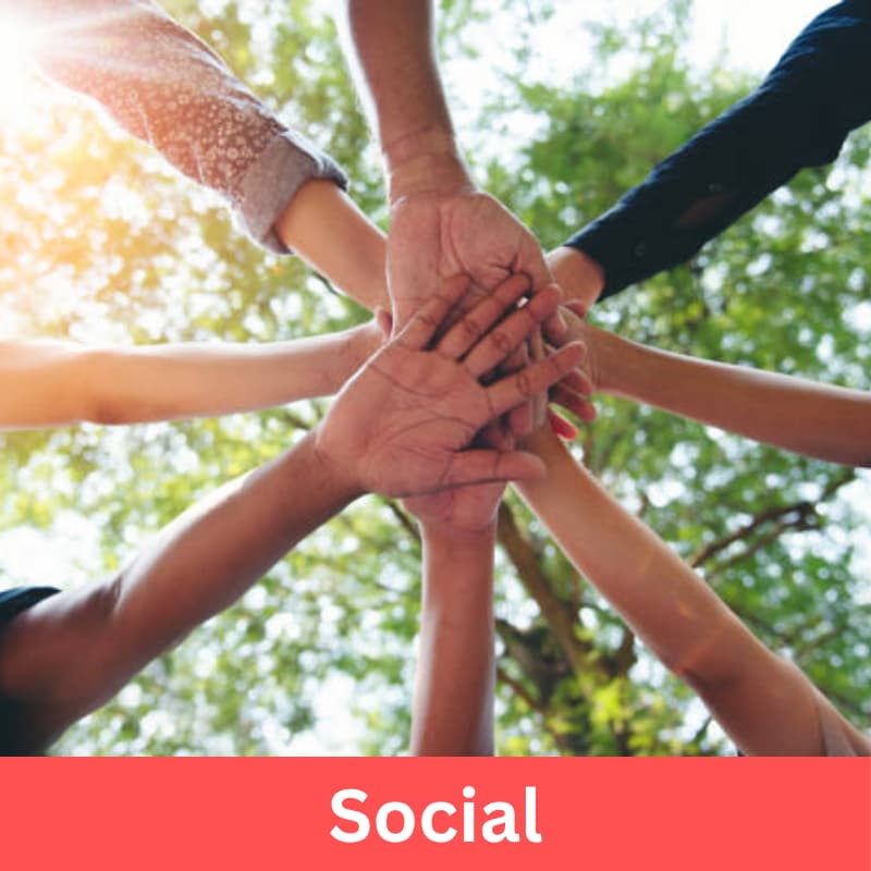 Cover Image for Dental/Allied Health Cookie Decorating