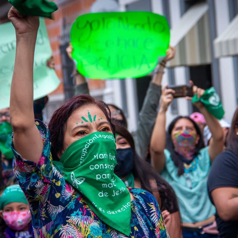 Cover Image for The Green Wave: Building a movement, a creator briefing by the Women's Equality Center