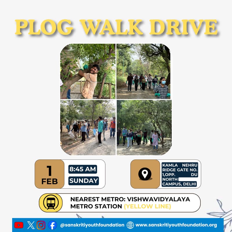 Cover Image for Plog Walk Drive