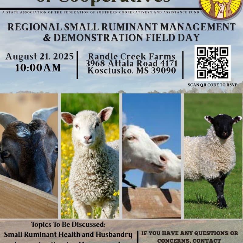 Regional Small Ruminant Management & Demonstration Field Day · Luma