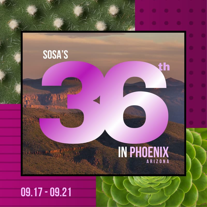 Cover Image for 36 in Phoenix: Sosa's Birthday