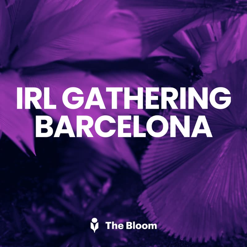 Cover Image for IRL Barcelona