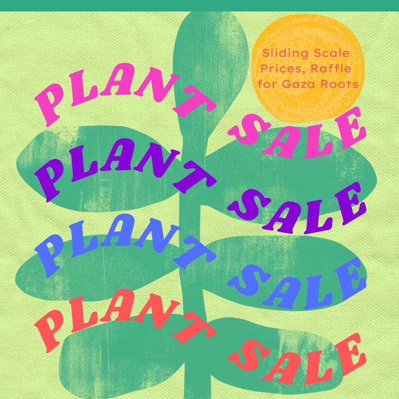 Cover Image for LIVIN Holiday Sale / 5 Year Anni Celebration