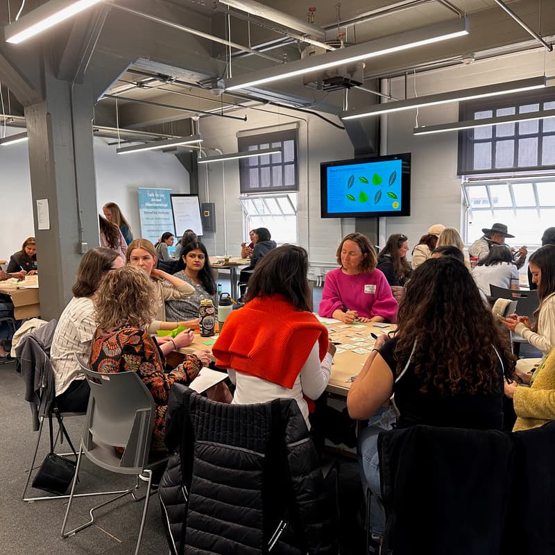 Cover Image for Unblock and Inspire: Peer support conversations for women leaders