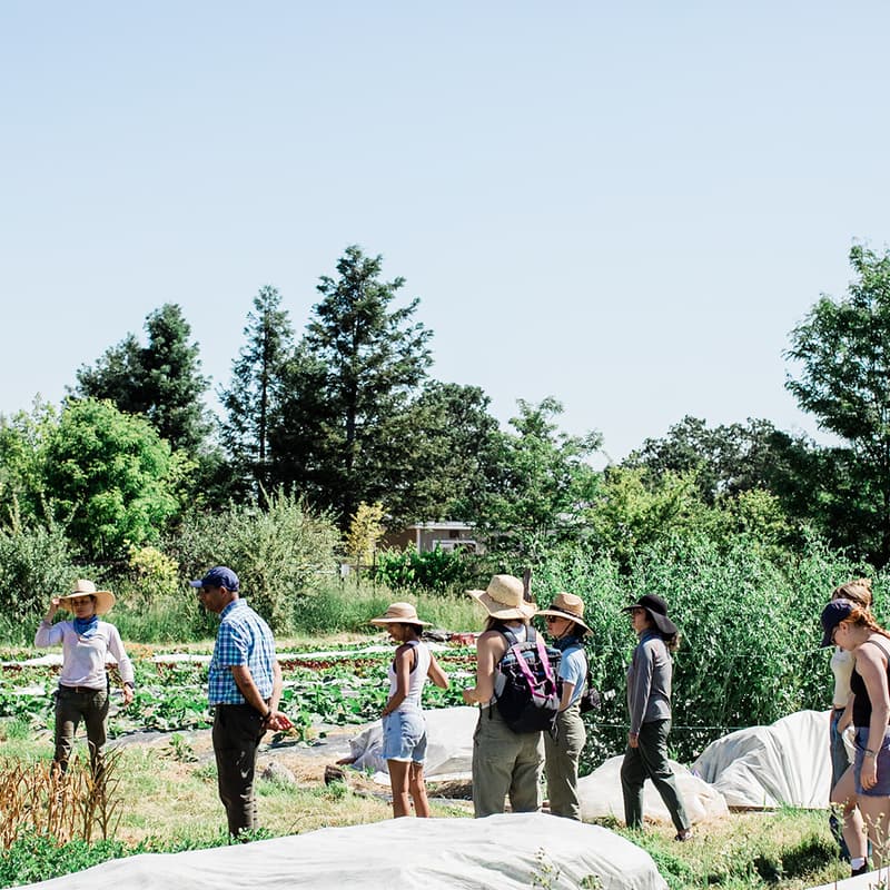 Cover Image for Climate Farm School for Farm Based Educators: Info Session
