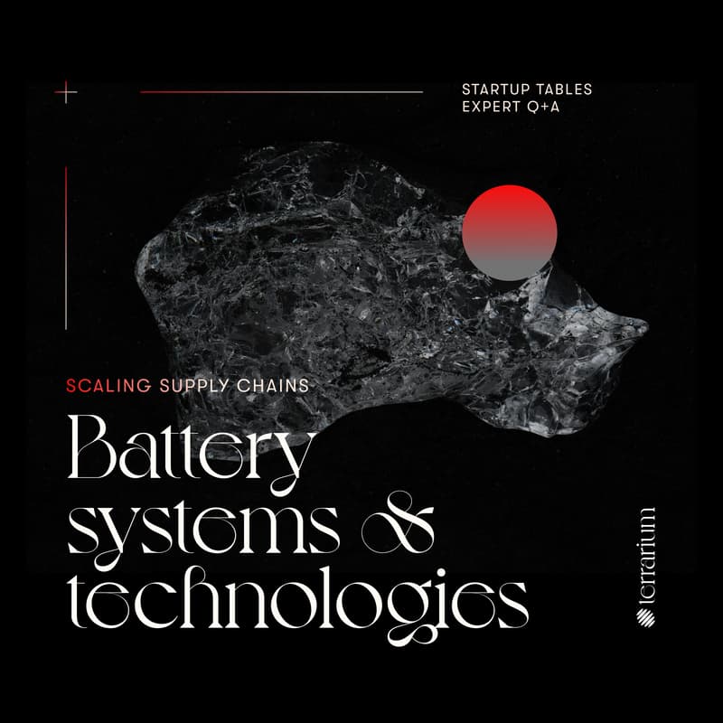 Cover Image for Scaling Supply Chains