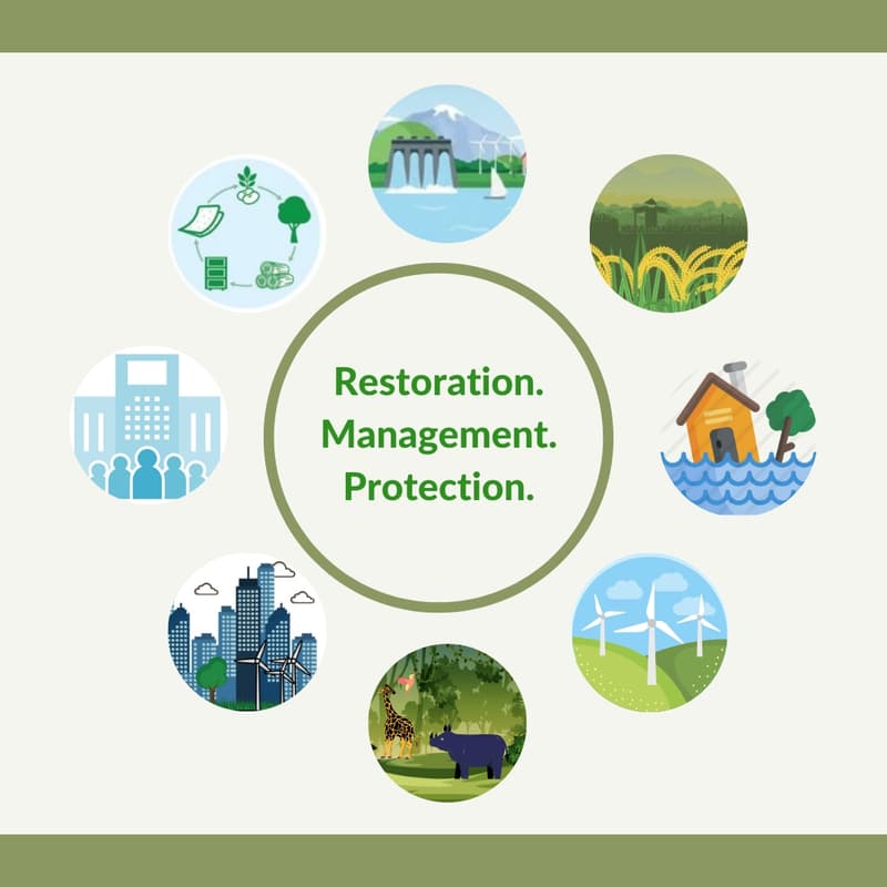 Cover Image for Innovating for Nature: Scaling up Nature-based Solutions in India