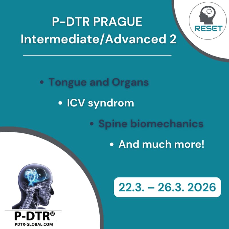 Cover Image for P-DTR PRAGUE Intermediate/Adv – Module 2 (2026 edition)