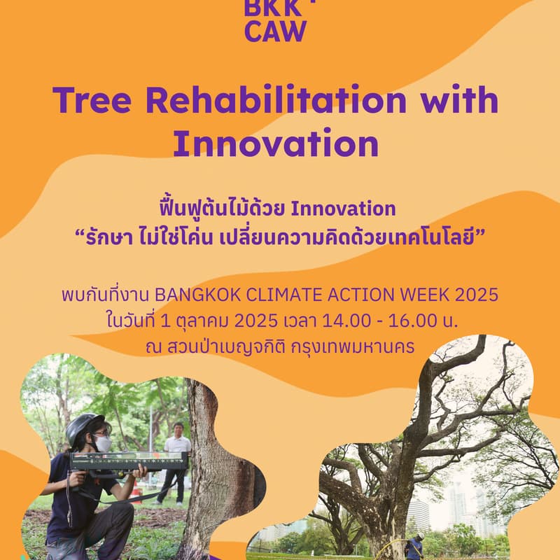 Cover Image for Tree Rehabilitation with Innovation