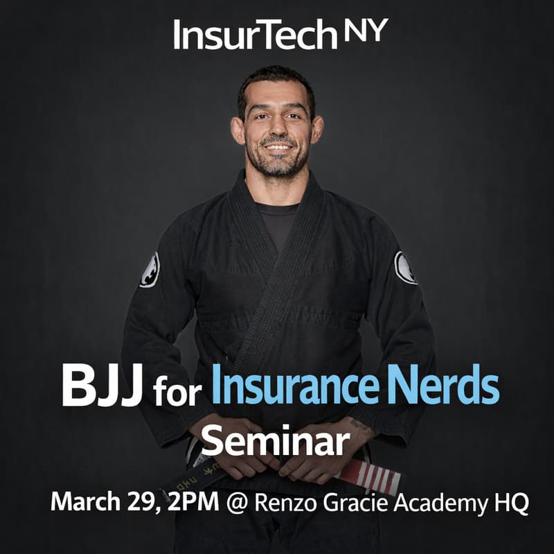 Cover Image for BJJ Seminar for Insurance Nerds