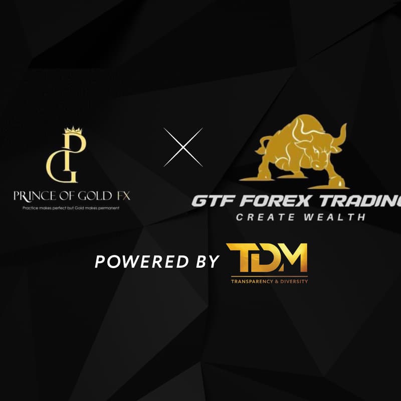 Cover Image for Forex Seminar