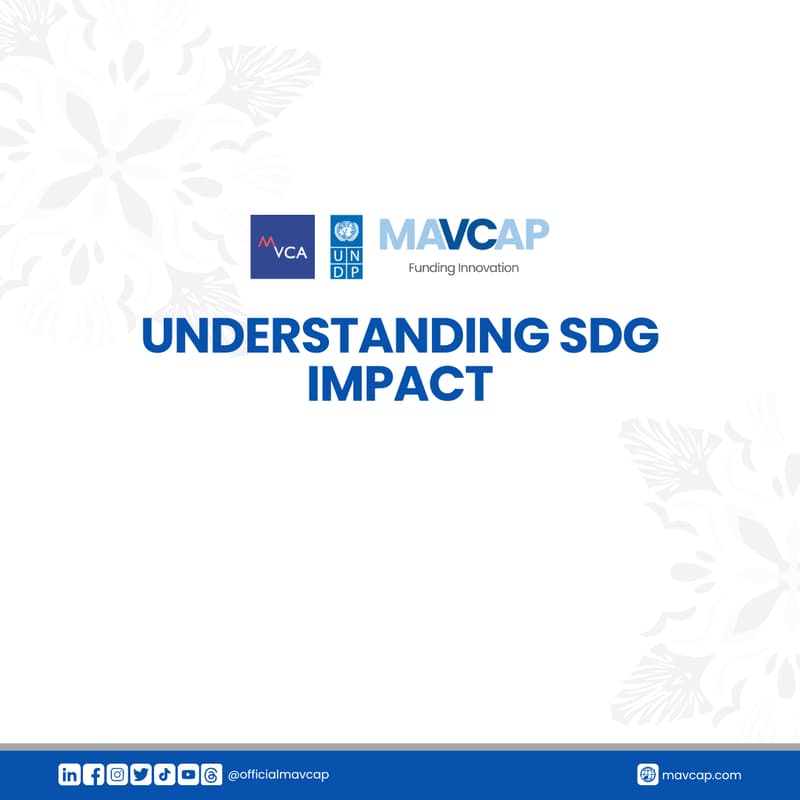 Cover Image for UNDERSTANDING SDG IMPACT