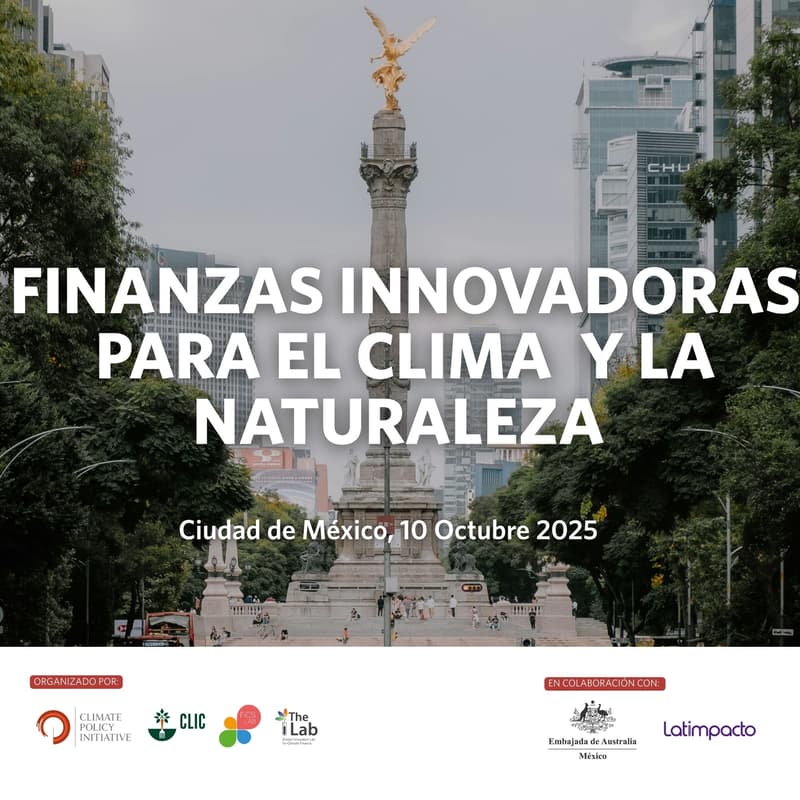 Cover Image for Finanzas Innovadoras para el Clima y la Naturaleza