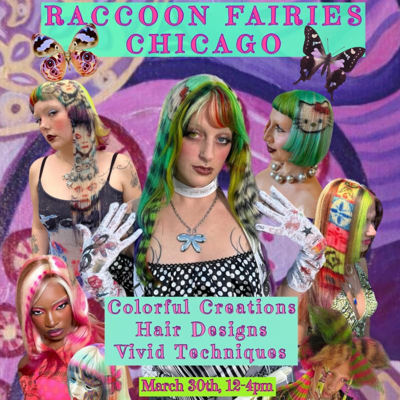 Cover Image for Raccoon Fairies 🧚