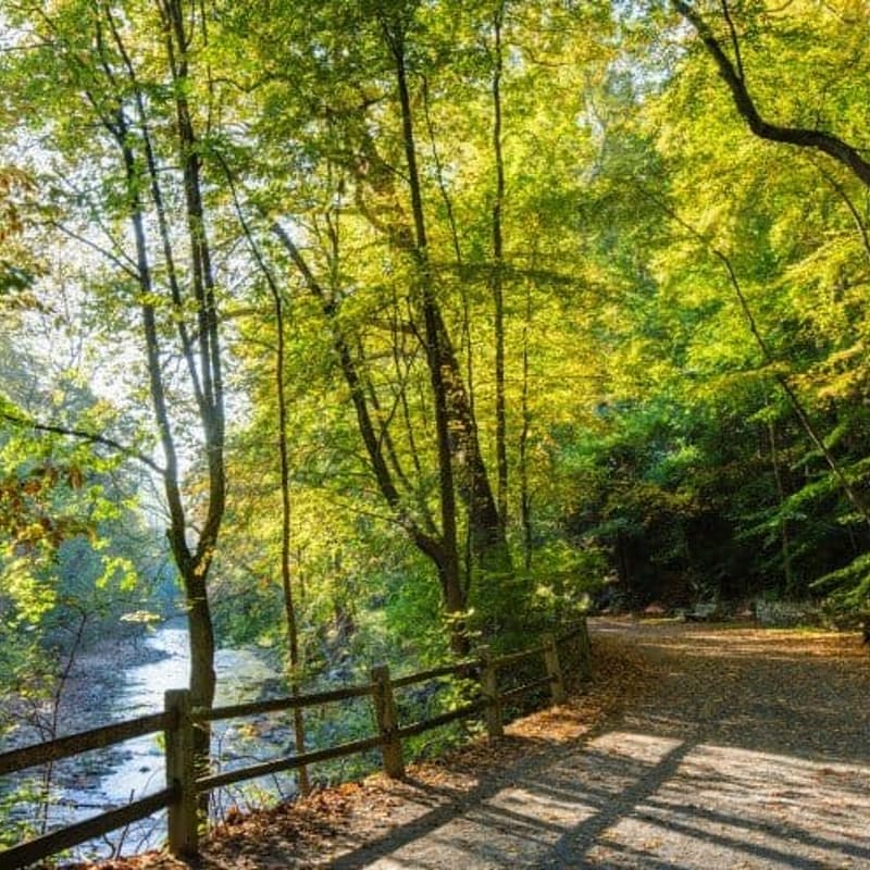 Cover Image for Philly Good: Easy Wissahickon Hike