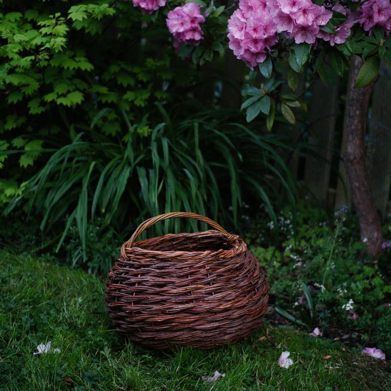 Cover Image for Large Twisted Willow Basket