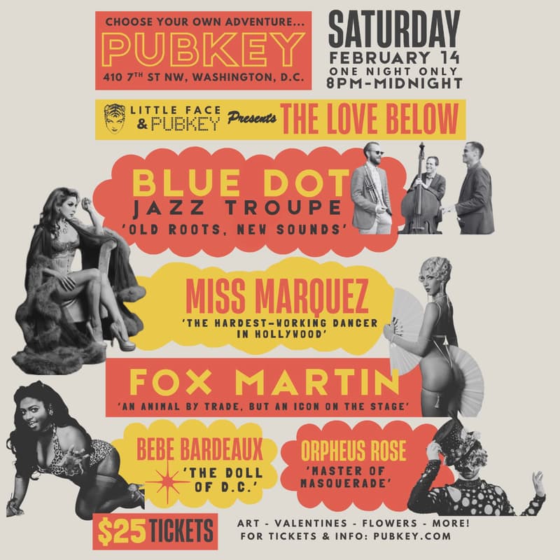 Cover Image for THE LOVE BELOW | PubKey DC