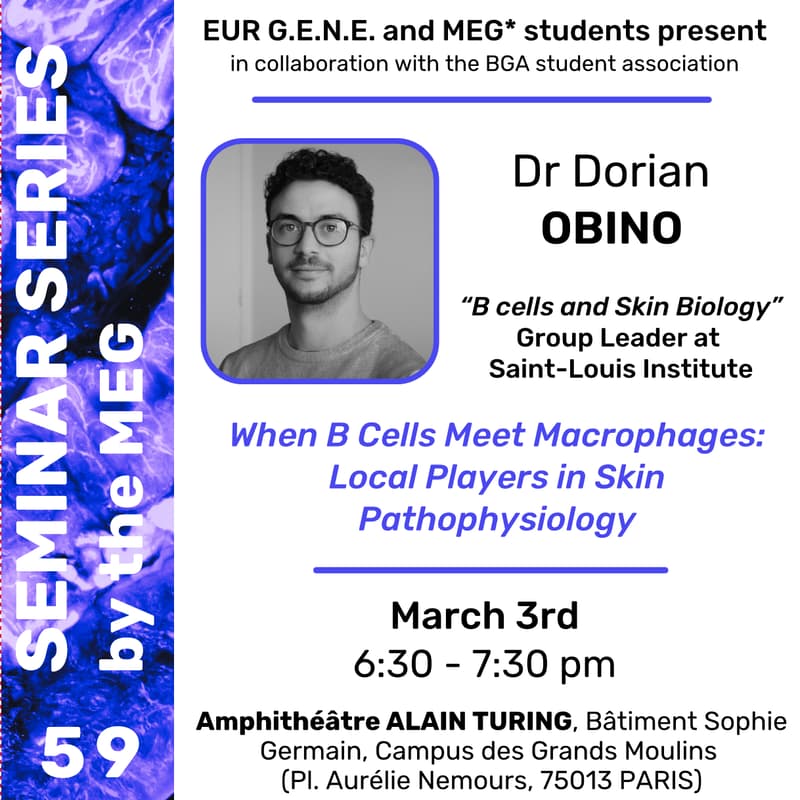 Cover Image for When B Cells Meet Macrophages: Local Players in Skin Pathophysiology, Dr Dorian Obino