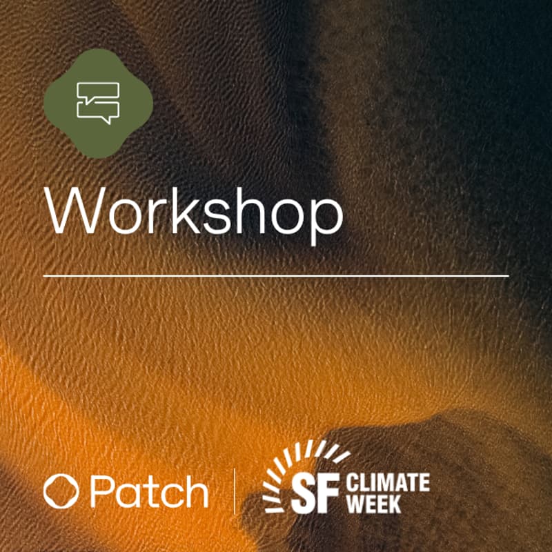 Cover Image for Carbon Markets + Beyond: Hands on Workshop