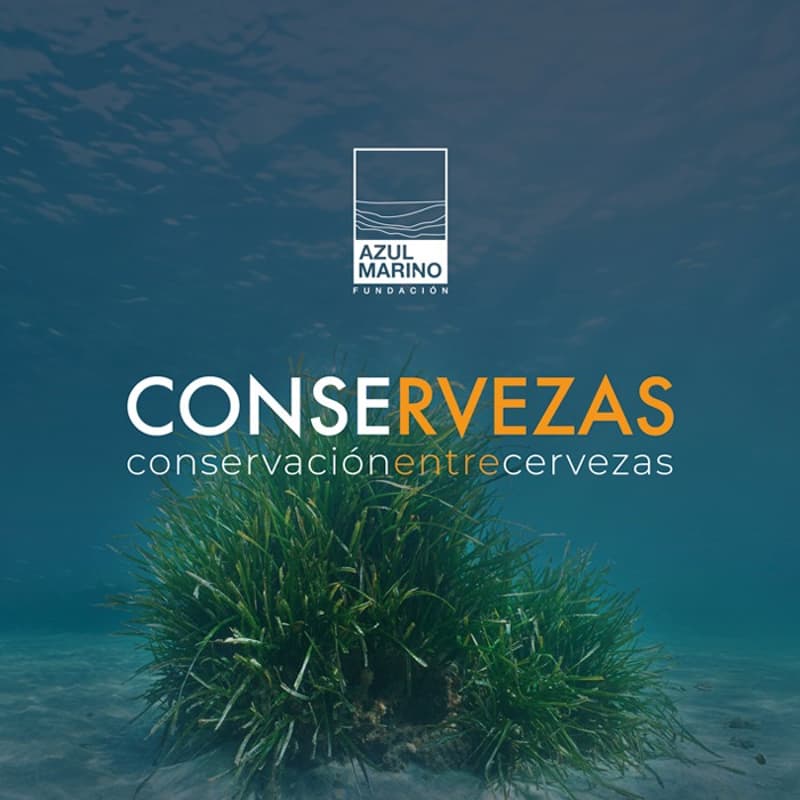 Cover Image for La arquitecta del Mediterráneo