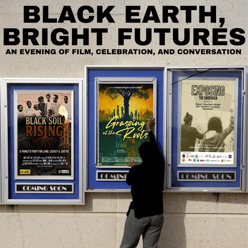 Cover Image for Black Earth, Bright Futures