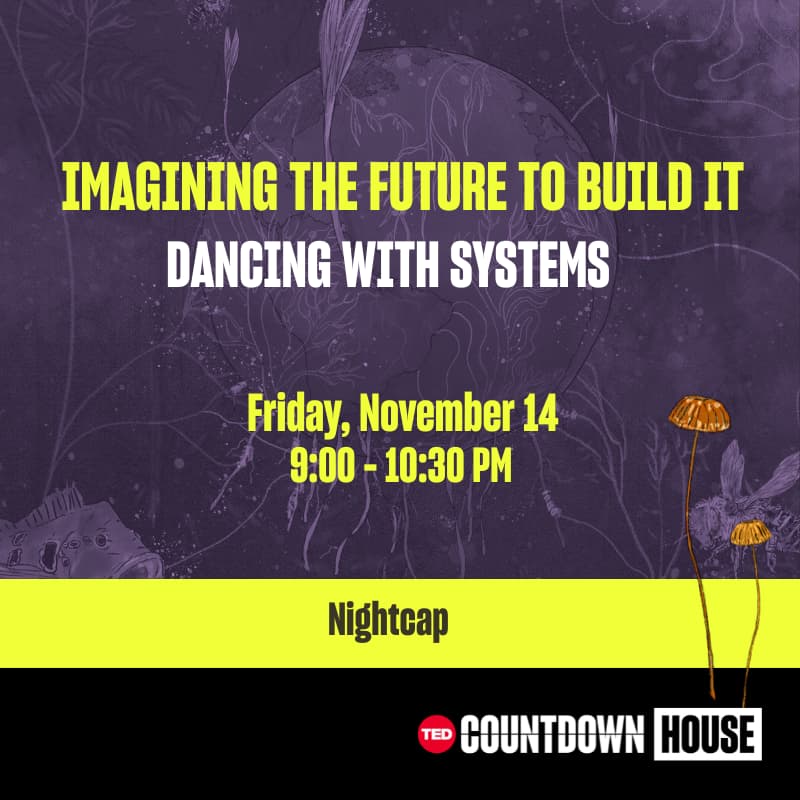 Cover Image for Imagining the future to build it: Dancing with systems