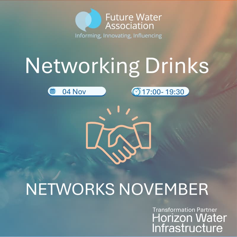 Cover Image for Networks November Networking Drinks