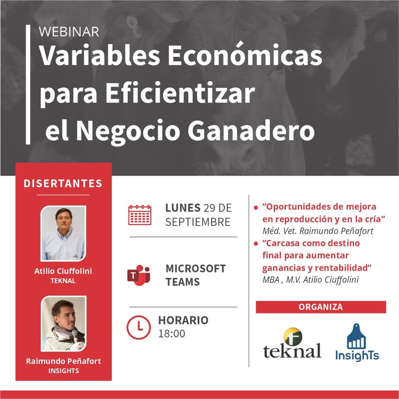 Cover Image for Webinar: Variables Económicas para Eficientizar el Negocio Ganadero