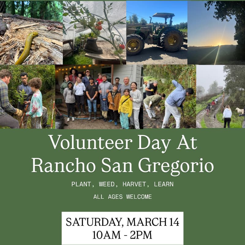 Cover Image for Volunteer Day At Rancho San Gregorio