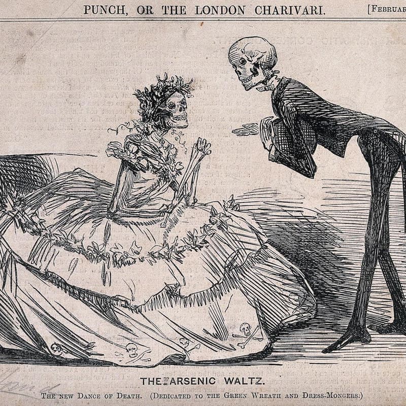 Cover Image for A Little Death