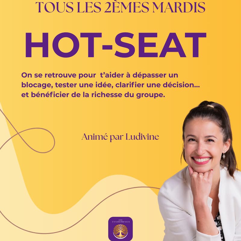 Cover Image for Hot Seat / Co-développement
