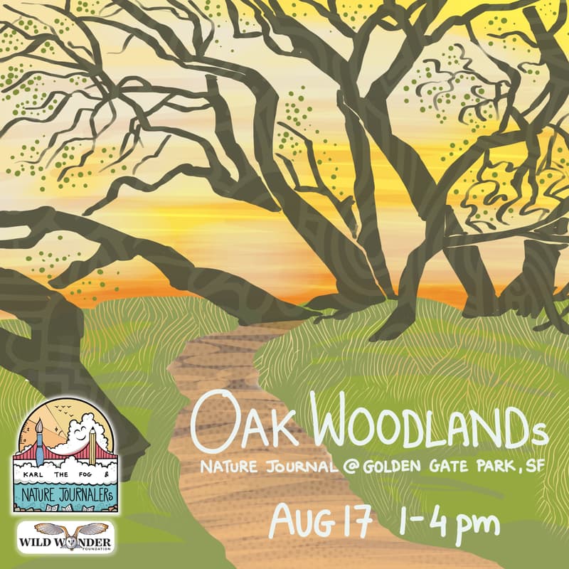 Cover Image for Nature Journaling @ Oak Woodlands Natural Area, Golden Gate Park - San Francisco