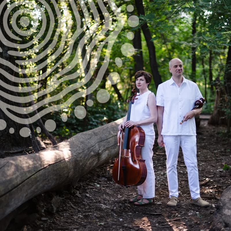 Cover Image for Sierra de Luquillo: A Living Soundscape