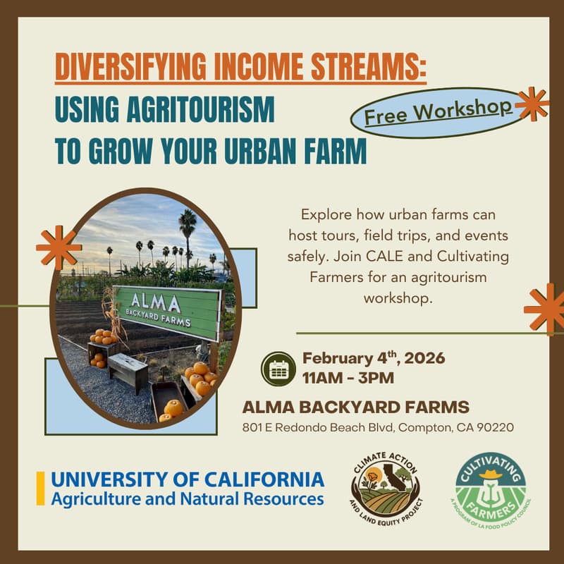 Cover Image for Diversifying Income Streams: Using Agritourism to Grow Your Urban Farm